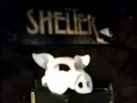 シェルター =TAKESHI=