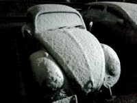 Sickly Bug in snow !!! =TAKESHI=